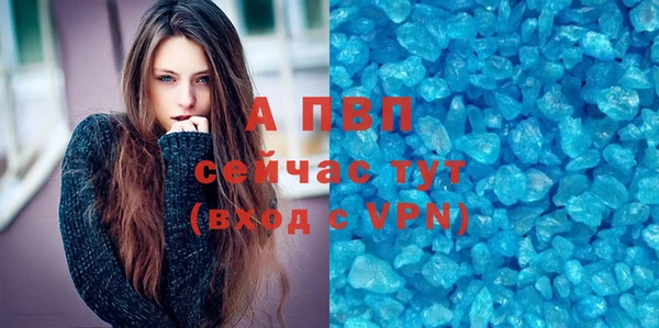 амф Бородино