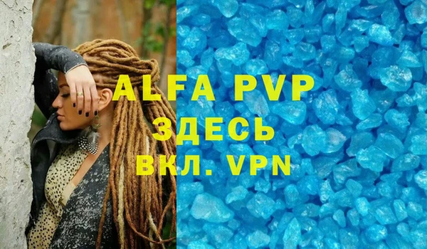 амф Бородино