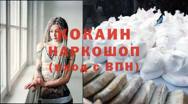 амф Бородино