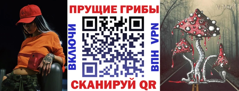 Псилоцибиновые грибы ЛСД  ОМГ ОМГ ССЫЛКА  Вилюйск  нарко площадка Telegram  наркошоп 